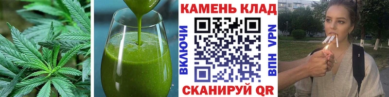 Купить закладки  Струнино  Еда ТГК конопля 