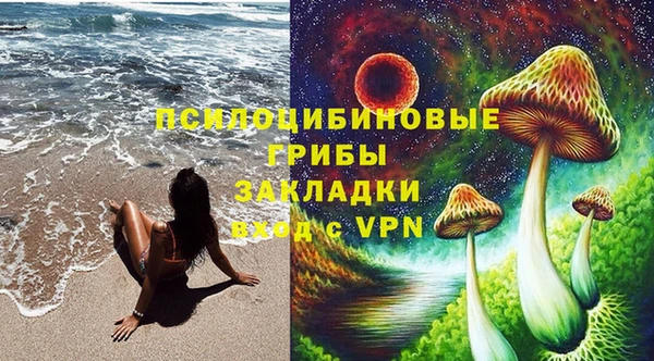 ПСИЛОЦИБИНОВЫЕ ГРИБЫ Армянск