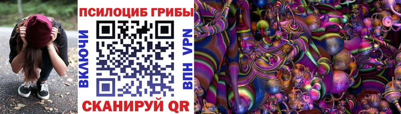 Купить где  Струнино  Галлюциногенные грибы Psilocybine cubensis 
